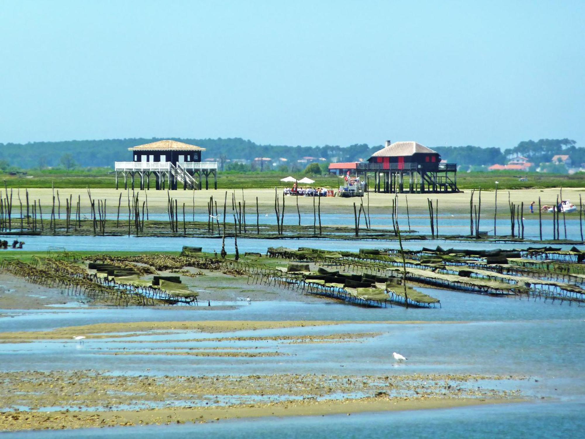 Eugenie-4 By Interhome * Arcachon